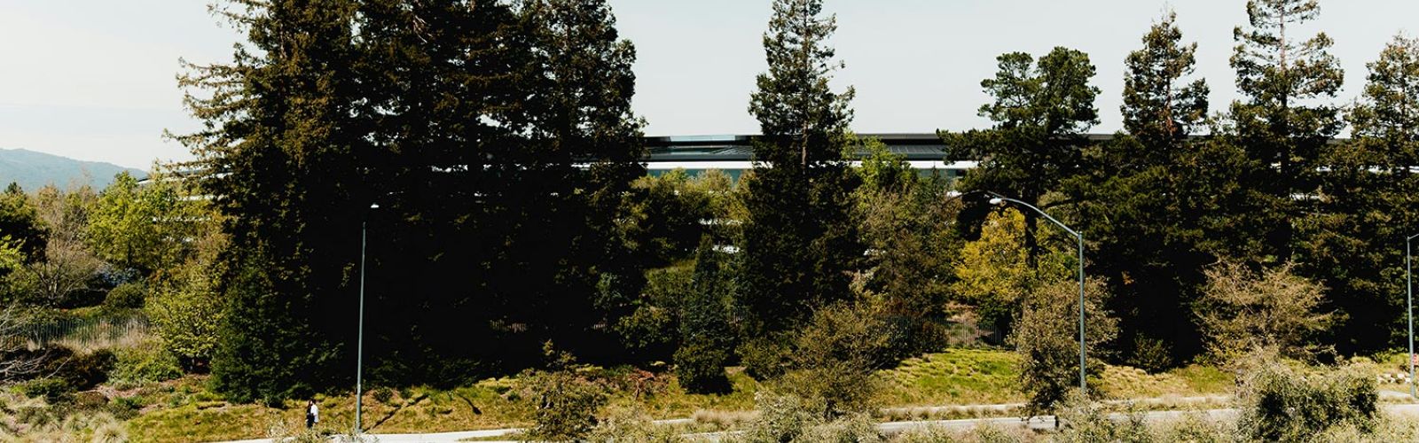 Cupertino, CA